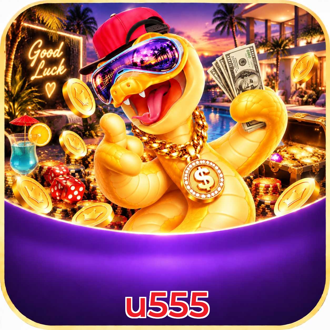 u555 VIP Program
